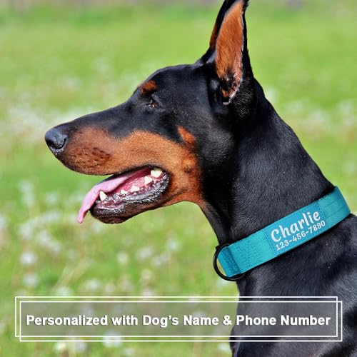 Plutus Pet Personalized Tactical Dog Collar With Name And Phone Number thumb #1
