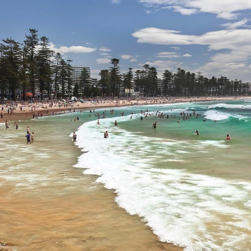 Beaches to reopen after multiple shark attacks copertina