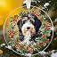Bernedoodle
