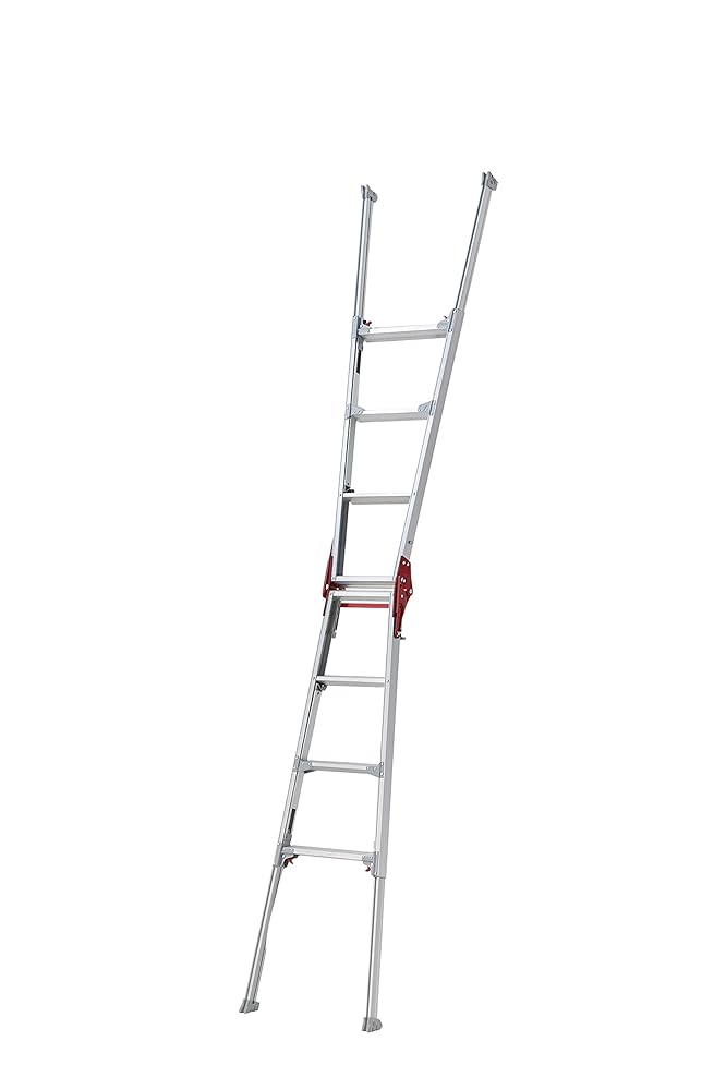 「kiki様用２点まとめて 」h,a長谷川潔の限定500部【 野辺小禽 】 kiki様用2点まとめて 」h,a長谷川潔の限定500部【 野辺