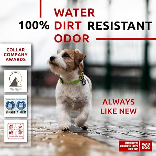 Collar impermeable WAUDOG ajustable con placa QR para perros miniatura 2