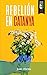 Rebeli&Atilde;&sup3;n en Catanya (Spanish Edition)
