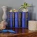 Harry Potter Ravenclaw House Editions Hardback Box Set: J.K. Rowling - Hardback Box Set
