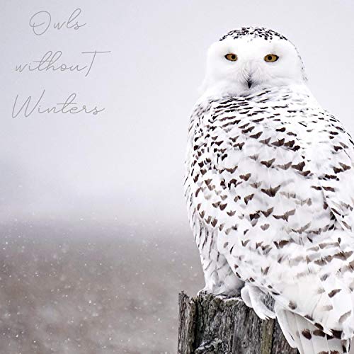 Amazon MusicでLayla FrostのOwls Without Wintersを再生する
