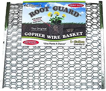 Digger’s 1-Gallon Heavy-Duty Wire Basket - Gopher Wire Basket for Perennials & Vegetables (12 Baskets)