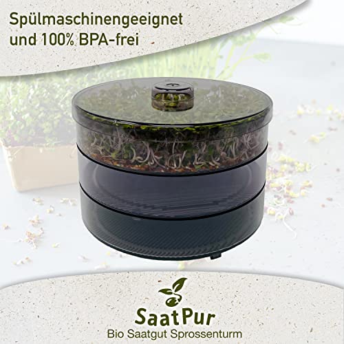 Foto von SaatPur® Keimsprossenbox Set 2 mit Zwei Etagen als Sprossen Keimgerät: Sprossen Anzucht sowie Microgreens Anzuchtschalen. Keimbox, Keimschale, Keimschachtel, Sprossenbox, Sprossenhaus, Keimgerät
