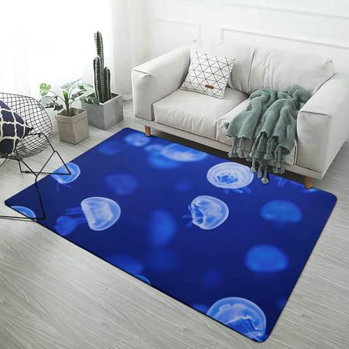 �J�[�y�b�g �C���� �N���Q�� �C�̓� �l�C�r�[ ���F 150×100cm���O ����~�ߕt �h�L �R�� �q�� ���N��� �y�b�g �􂦂� ���� �Q�� ��[ ���g�[ �ӂ�ӂ픧�G�� �I�[���V�[�Y�� �������