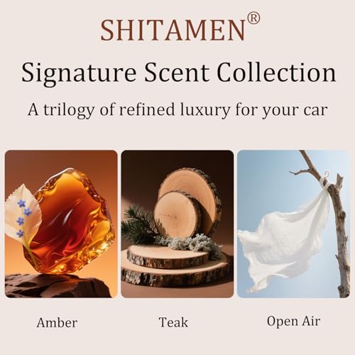 Car Air Freshener Starter Kit, Long Lasting Wood Car Fresheners - Car Odor Eliminator for Visor Clip - CLIP INCLUDED - 3 Pack (Amber-Teak-Open Air)