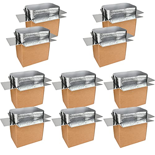 YSSOA Thermo Chill Double Insulated Carton with Foil Insulated Bag Liner, Large Mailing Box, Shipping Box for Mailing, Shipping, Packing, Moving, Box Inside Dimension 19’’ x 12’’ x 16’’, 10 Pack