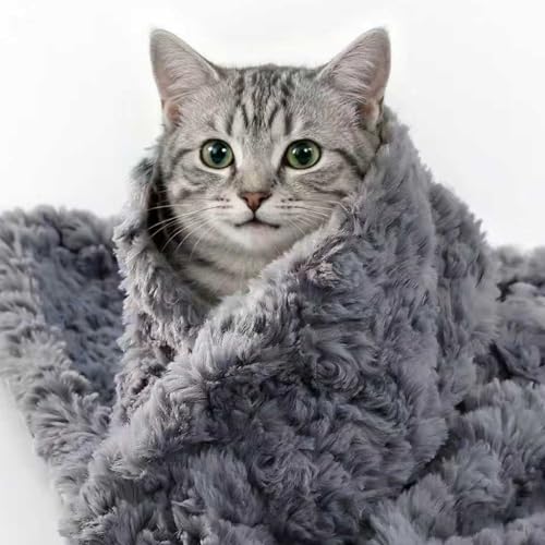 NODARKO Cat Blanket - Ultra Soft Plush Small Dog Blanket Washable Cozy Calming for Kittens Puppy Reversible Throw Protector for Couch Bed Sofa 21"x18" Grey