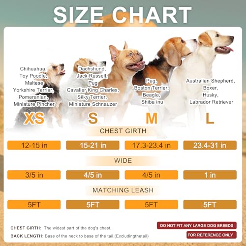 BEAUTYZOO No Pull Dog Harness and Leash Set - Adjustable Step-in Puppy Harness for Medium Large Dogs, Escape Proof Soft Nylon Vest with Double D Ring for Walking Running Training, Purple L - Thumbnail 7