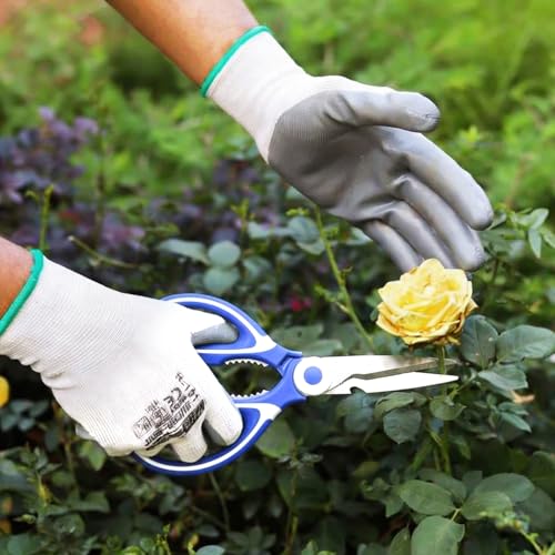 Image of Anandi Green's Metal Agriculture Garden Spectacular Heavy Duty Plastic Handle Gardening Tools Set for Gardening (Blue Scissor with Cap)