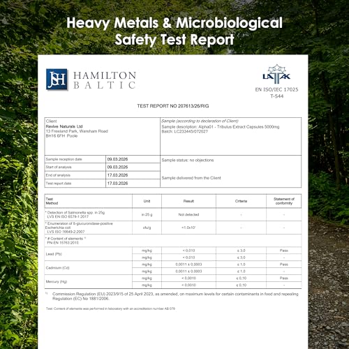 Tribulus Terrestris-Extrakt 5000 mg – hochwirksame 95% Saponine – 120 vegane Kapseln (Vorrat für 4 Monate) – von Alpha01