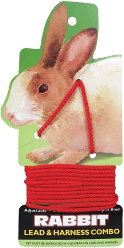 Coastal Pet Rabbit Lead & Harness RED