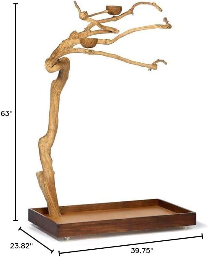 Maykoosh African Adventure CoffeeWood Tree-Style Parrot Play Stand with Natural Design, Durable Perches, Feeding Bowls, and Spacious Activity Area for Birds