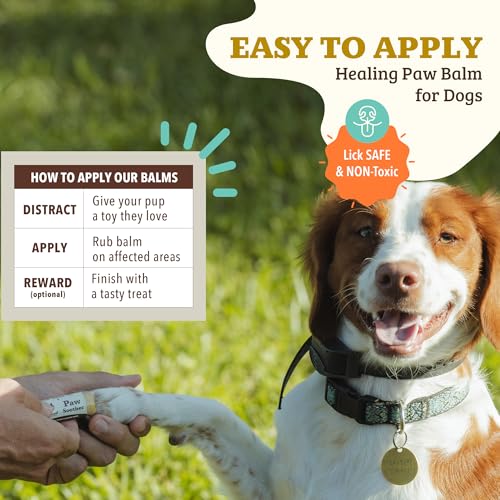 Image of Natural Dog Company Paw Soother Balm Bundle, with 4 Travel Sticks (0.15 oz Each), Lotion, Moisturizes & Soothes Irritated Paws & Elbows, Protects from Cracks & Wounds, Lick-Safe, Made in USA