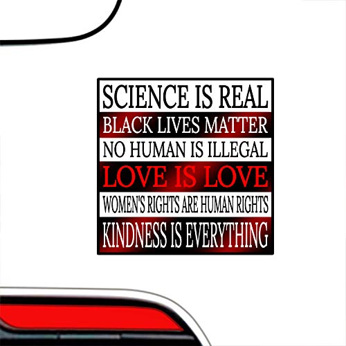 Kindness Is Everything Bumper-Sticker - Love-Is-Love Human Rights Vinyl Decal 3 X 3" L Car Auto Window Real Science Black Lives Matter Blm Lgbt-Q-Ia + Better Than Magnets Coexist Dismantle Patriarchy #TOP1