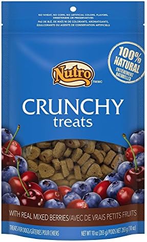 Nutro Crunchy Dog Treats with Real Mixed Berries 10oz - 2 Pack