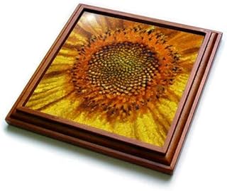 3dRose Funny Cute Boston Terrier Puppy Dog Riding Bicycle Trivet with Tile, 8 by 8