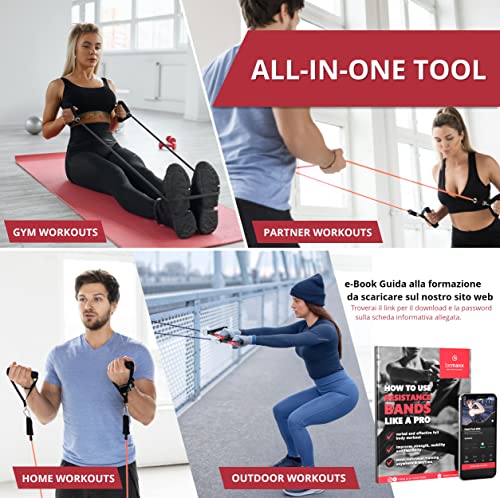 Set di fasce di resistenza + piano allenamenti - Kit elastici: 5 bande elastiche lattice, maniglie, cinghie per caviglie + ancoraggio, gancio da porta | Tubi fitness palestra sport stretching