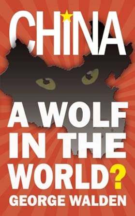 China: A Wolf in the World? book cover
