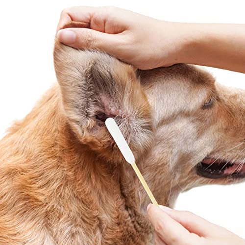Akoslale 200Pcs-4.7 Inch Long Qtips,Dog Qtips,Dog Ear Wax Cleaner,Long Cotton Swab, Clean Wound, Clean Nose, Ear Cleaning Supply For Puppies And Pets #TOP7