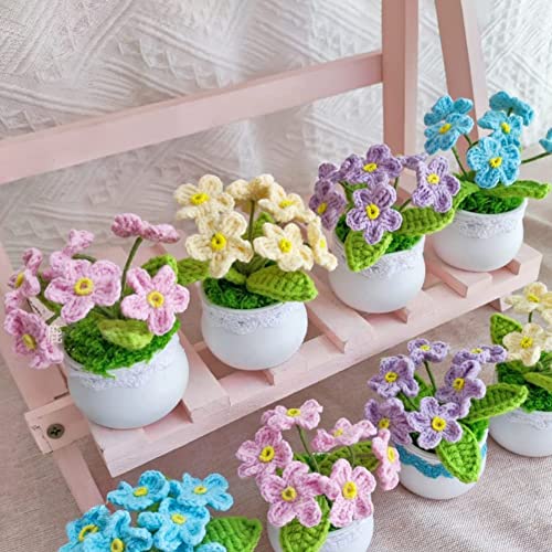 Mini Crochet Plantes en Pot - Idée Cadeau Mignon et Original