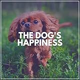Pet Meditations