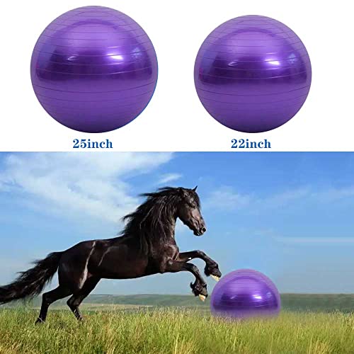 Chyesong Pferdeball-Trainingsspielzeug, Anti-Burst-Pferde-Übungsball mit Inflator-Pumpe für Pferd, Lamm, Ziege, Unterhaltungsspielzeug Ball (55,9 cm, lila), 55,9 cm