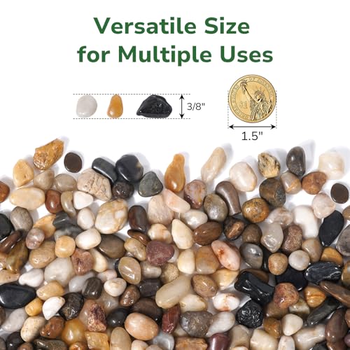 GreatBuddy 10-lb Pebbles for Indoor Plants, 3/8\" Pea Gravel for Vases, Small Rocks for Succulents, Fish Tanks, Aquariums, Terrarium, Drainage Pebbles for Potted Plants, River Rocks for Landscaping