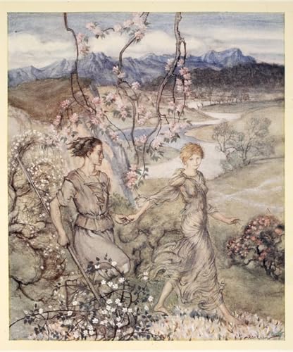 Impressions d'art mural vintage 60x90cm illustration Arthur Rackham