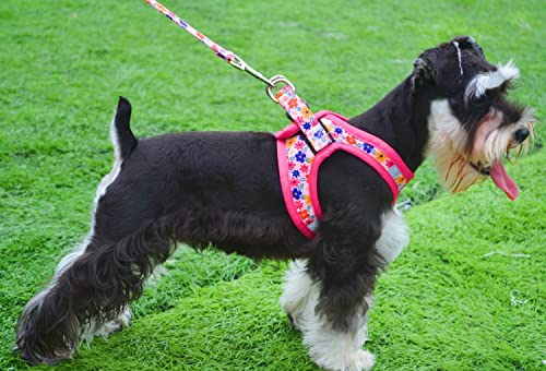 Moonpet Step in Air Dog Harness Leash Set- All Weather Reflective No-Pull Floral Pattern Padded Mesh Vest Harness for Cats Puppy Extra-Small Small Medium Large Dogs - Image 4