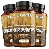 Cordyceps Sinensis Estratto 40% Polisaccaridi – Integratore Stanchezza, Difese Immunitarie, Detox Fegato – Funghi Medicinali 360 Capsule 550mg | Oravita