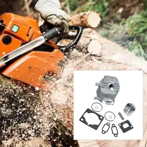 Cylindre Echo TC-2100 contre les pertes de puissance moteur