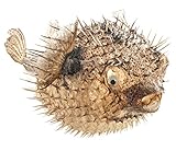 The Seashell Company Porcupine Blowfish Decor 5-6, Nautical Coastal Home Hanging Decoration