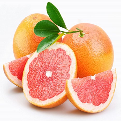 Pink Grapefruit Fragrance Oil - 16 OZ/ 1 LB - for Candle & SOAP Making by VIRGINIA CANDLE SUPPLY - Free S&H in USA