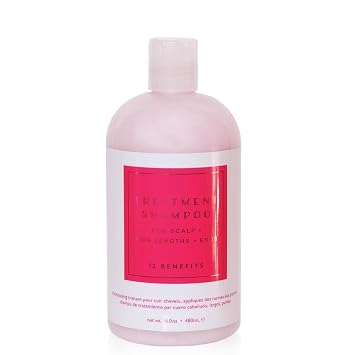 12 Benefits Treatment Shampoo Hydrating Scalp Treatment, Gentle, Effective Cleanse, Sulfate-Free Shampoo for Dry, Damaged, and Color-Treated Hair, 16 Fl Oz 480 ML