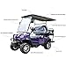 DigSwift Electric Golf Cart with Battery, Intelligent Charging for 12 Hours Can Travel Up to 50 Miles, Spring Damping, Equipped with Reversing Image, Colorful Delivery, US Inventory