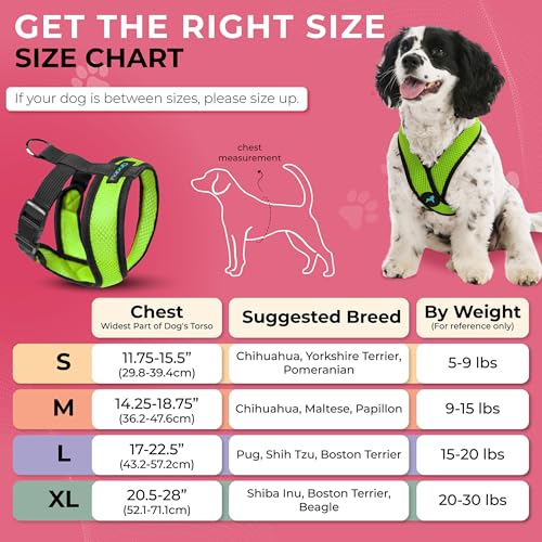 Image of Gooby Comfort X Head-in Dog Harness, Choke-Free, Green, Medium | Patented choke-free X-frame; Secure head-in fit; Lightweight breathable mesh; Back metal D-ring; Machine washable