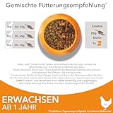 IAMS Katzenfutter trocken mit Huhn - Trockenfutter für Katzen im Alter von 1-6 Jahren, 10 kg