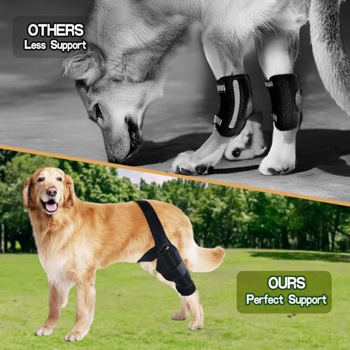 Knieorthese für Hunde bei gerissenem vorderen Kreuzband am Hinterbein, verstellbare Hüftstütze für Hunde bei Patellaluxation, Hundebeinorthese für Hinter- oder Vorderbein seitlichen Stabilisatoren (L)