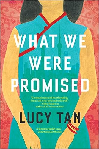 What We Were Promised book cover