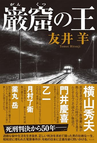 巌窟の王 (文芸書・小説)