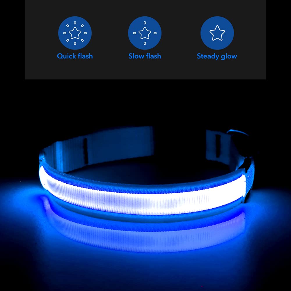 BSEEN Collar de perro con luz LED reflectante, recargable, resistente al agua, brilla en la oscuridad, para perros pequeños, medianos y grandes (azul rey, mediano)