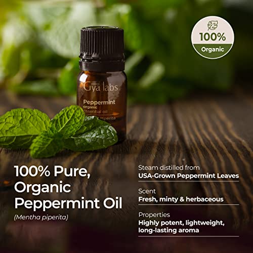 Gya Labs Organic Peppermint Oil For Hair - Mint Essential Oils - Premium Grade Natural Organic Peppermint Essential Oil For Diffuser & Skin - (0.34 Fl Oz) #TOP3