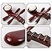 LANDTOM Professional Hardwood Chinese Lute Traditional National Stringed Instrument PiPa (B-engraved bamboo)