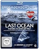 Last Ocean - Das Rossmeer - Paradies am Ende der Welt [Blu-ray]