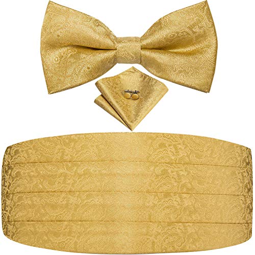 Dubulle Cummerbund Gold Paisely Gold Bow Tie and Pocket Square for Men Γ’β¬Β¦ Dubulle Cummerbund Gold Paisely Gold Bow Tie and Pocket Square for Men Γ’β¬Β¦