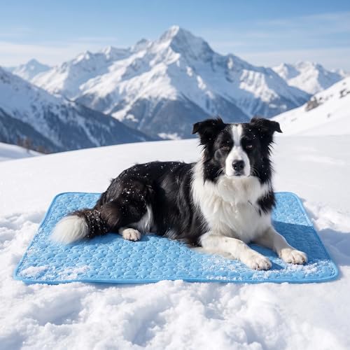 Generisch Kühlmatte für Hunde 2026 Neu Selbst Kühlende Hundematte Sommer Waschbar Kühlkissen Selbstkühlende Hundematte Kühldecke Katzen für Hund Katze für Sommer (Blau XS)