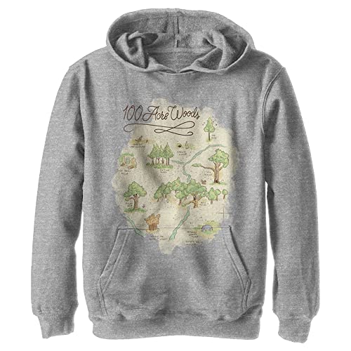 Sweat à capuche Winnie the Pooh garçon idéal pour l'école et le parc